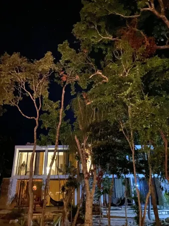 Private Cenote 18 guests luxury jungle lodge