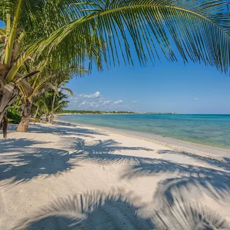 5-Star Experience! Oceanfront Villa w/ Private Beach + Pool, Snorkelling