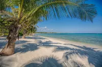 5-Star Experience! Oceanfront Villa w/ Private Beach + Pool, Snorkelling