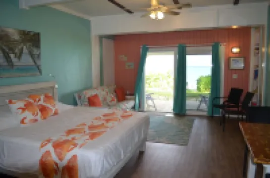 Beachfront large one bedroom studio, adjoining studio can be added to make 2/2. Hotels in 