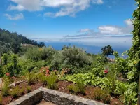 Mountain Cottage - Away from it all!