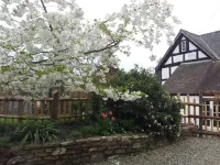 Studio Flat In Quiet Village Between Ludlow And Leominster