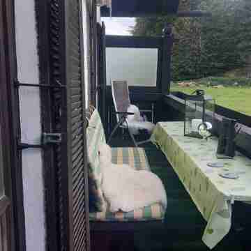 5-star apartment "Kreuzeck" in Grainau & garden/lawn. Others