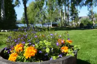 Alaska's Lake Lucille Bed & Breakfast Hotels in Wasilla