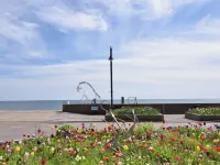 Carnaby Hotels in Tatworth and Forton