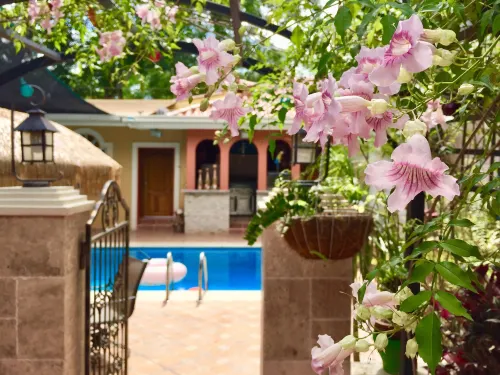 Refugio de la Montaña B&B - Homestays