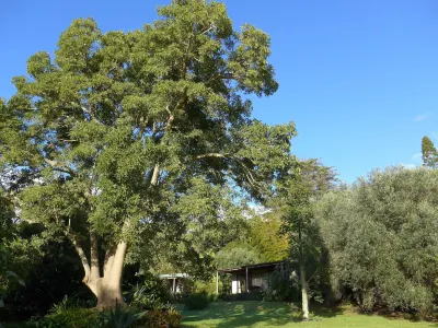 Wharepuke Subtropical Accommodation โรงแรมใน