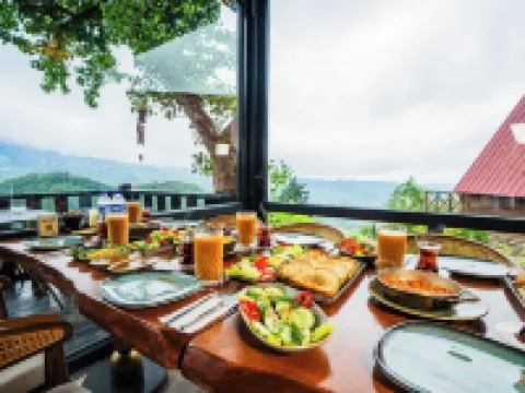 Gafulluk TATIL KOYU Hotels in Arakli