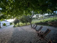 MORGADIO DA CALÇADA Hotels in Sabrosa