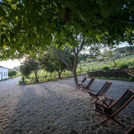 MORGADIO DA CALÇADA