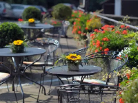 Landhotel Krolik & Landhotel Lodge - Dominik Krolik Hotels in Daun