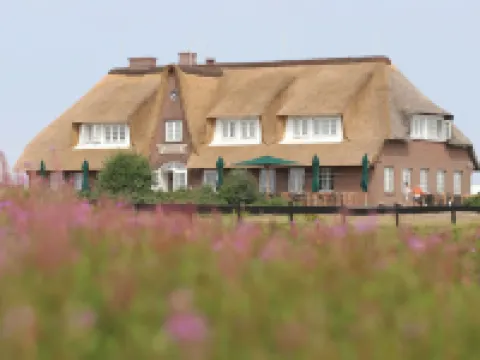 藍德豪斯塞韋林酒店 敍爾特島酒店