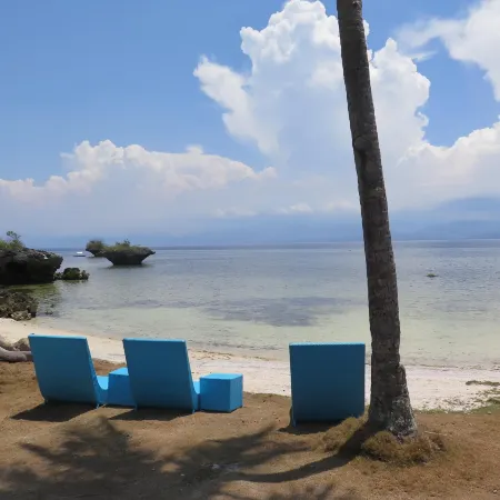 The Wild Orchid Resort - Moalboal