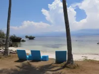 The Wild Orchid Resort - Moalboal - Beach