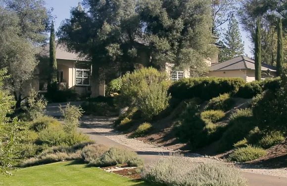 貝拉維斯塔民宿