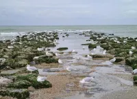 Apartment in Belgium Near the Beach