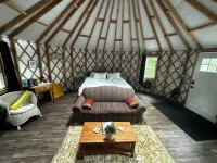 Luxury Yurt in charming Bellaire with Heat/AC
