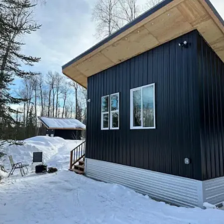 Talkeetna Tiny House Cabin Aspen Fire-pit/ski/bike/multi-use trails