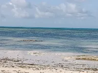 Jambiani Holiday Villa - 2-Star