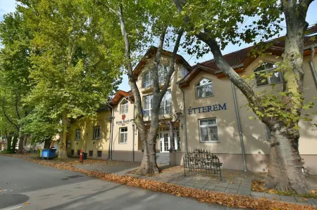 Hotel Platan Отели в г. Секешфехервар