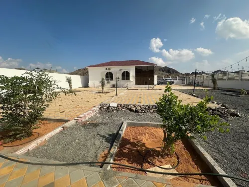 Cozy Mountain House near Hatta Hotels in Hatta