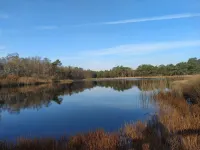 Vacation home for 6 people in the Drents Friese Wold Hotels in Westerveld