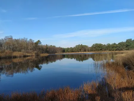 Vacation home for 6 people in the Drents Friese Wold
