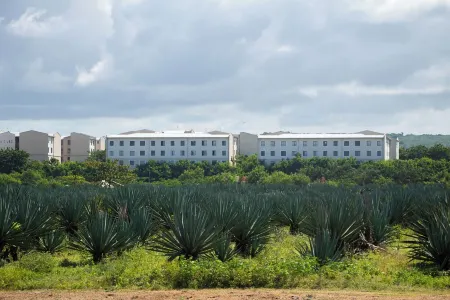 Serene Vipingo Apartment with Pool & Garden Views, Minutes from the Beach