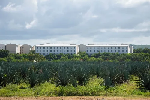 Serene Vipingo Apartment with Pool & Garden Views, Minutes from the Beach Hotels in Vipingo