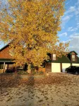 Cabin Style Private Studio Hotels in 