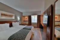 City Lodge Hotel Gqeberha - 3-Star