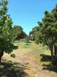 BayView Apartment come and relax on a rural property not far from the beach
