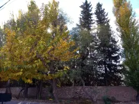 Petit Chateau J&sr En la Ruta del Vino y la Aceituna, Maipu,mza, Argentina Hotels in Maipú