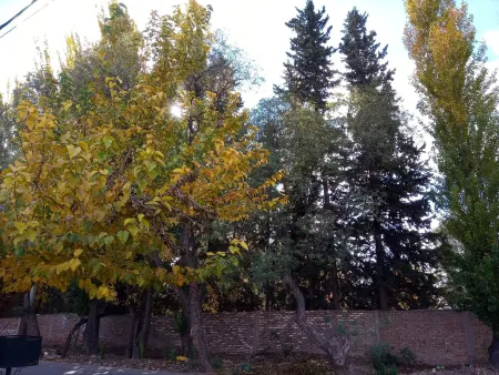 Petit Chateau J&sr En la Ruta del Vino y la Aceituna, Maipu,mza, Argentina Отели в г. Майпу