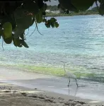 Oceanview Studio Condo in Sapphire Village - just a short walk to Sapphire Beach