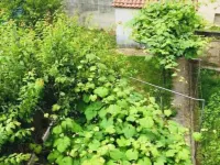 Casa con Terraza y Jardín al Lado del Camino De Santiago Hotels in Arzua