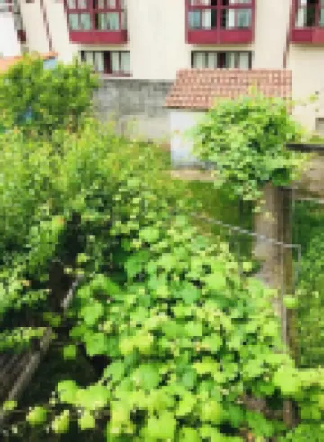 Casa con Terraza y Jardín al Lado del Camino De Santiago