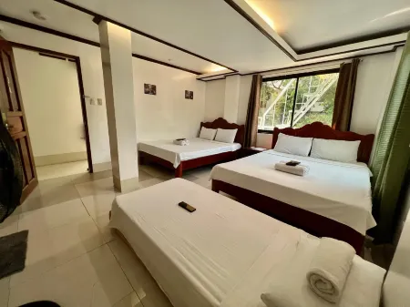 Alocasia Hostel Отели рядом с достопримечательностью «Парадайс Бич»