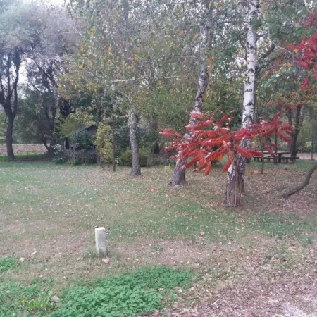 Holiday Home in Vodnjan near Seabeach