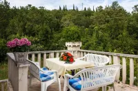 Apartments Villa Maslina - Two Bedroom Apartment with Terrace and Garden View Hotels in Cilipi