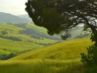 Getaway Amidst Vineyards