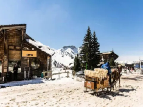 Apartment in Avoriaz near Portes du Soleil
