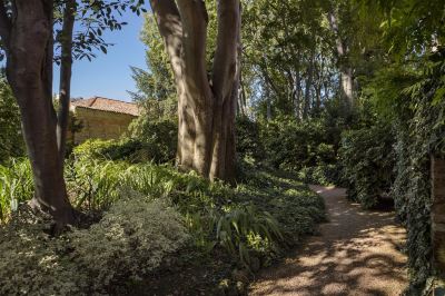 庭 グランド ホテル デイ ドージ ザ デェディカ アンソロジー オートグラフ コレクションの写真