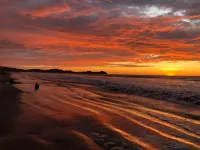 Seaside Garden Lodge Mompiche Hotels in Mompiche