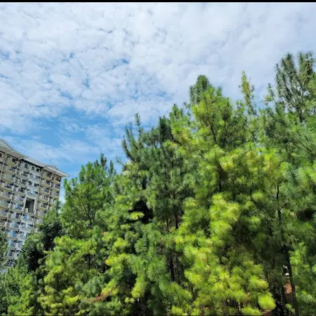 Spacious Davao City Apartment 3 Bedrooms, Pool, and Pine Trees