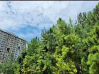 Spacious Central Davao City Getaway - Spacious Apartment with Shared Pool - Apartments