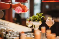 Hotel & Restaurant Goldener Pflug - bar