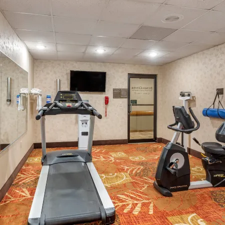 Comfort Inn & Suites Branson Meadows