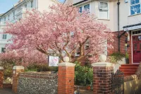 The Cherry Tree B&B