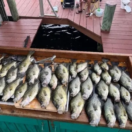 Great Place for a Fishing Excursion or a Tranquil, Relaxing Getaway!